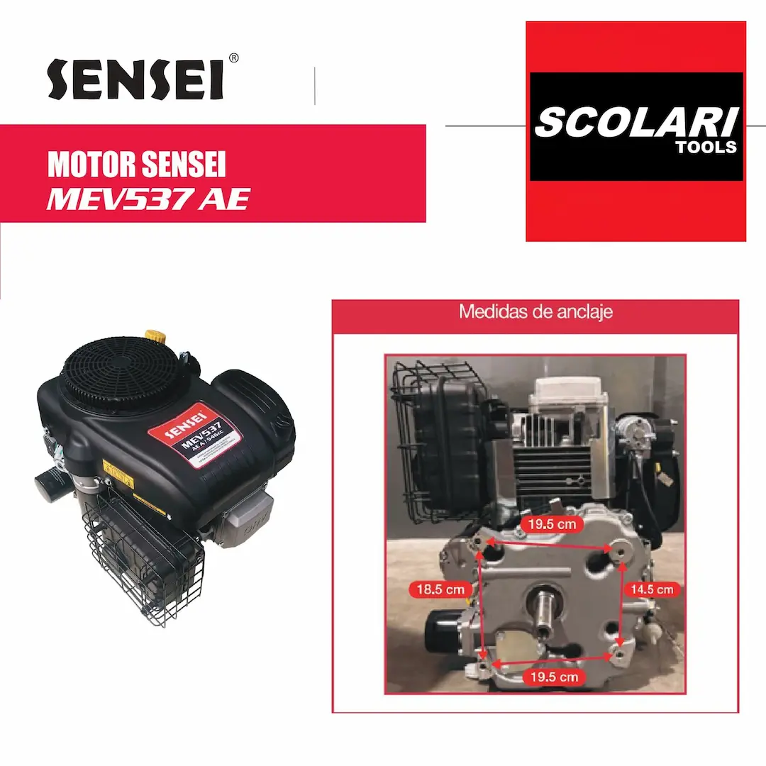 Motor vertical Sensei eje 1 pulgada 25mm medidas de anclaje