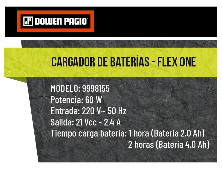 Cargador inteligente Dowen Pagio 9998155 con indicador LED